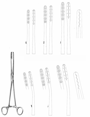 Lister Forceps